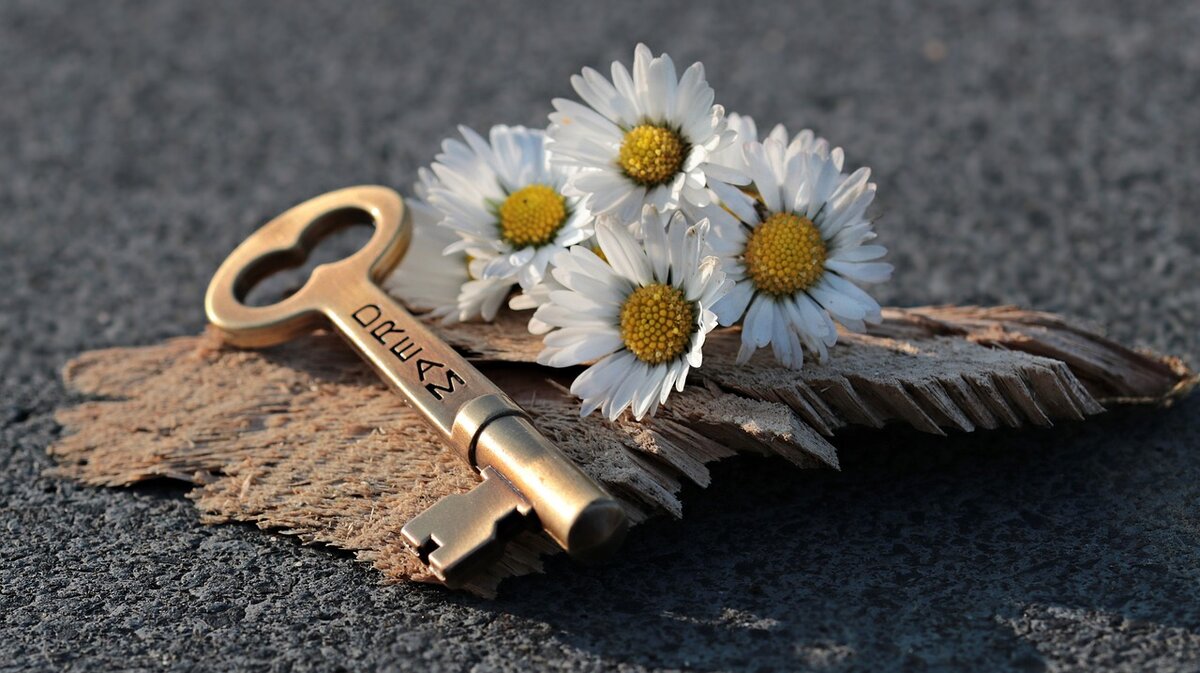 https://pixabay.com/photos/key-heart-daisy-love-wood-3087900/