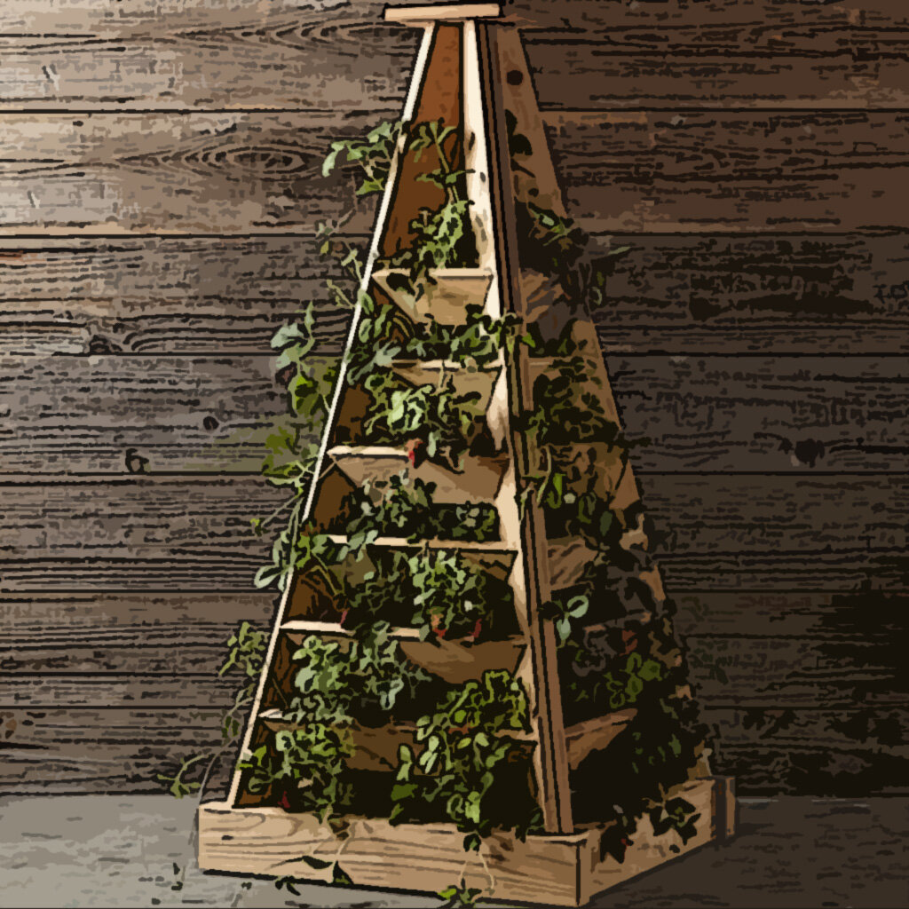 Пример "пирамидальных" грядок из досок.