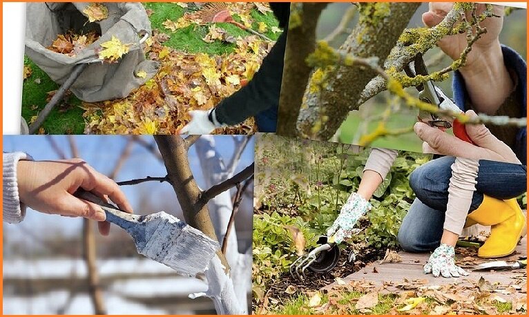 Сад, огород, сентябрь, урожай, цветы, сорняки 