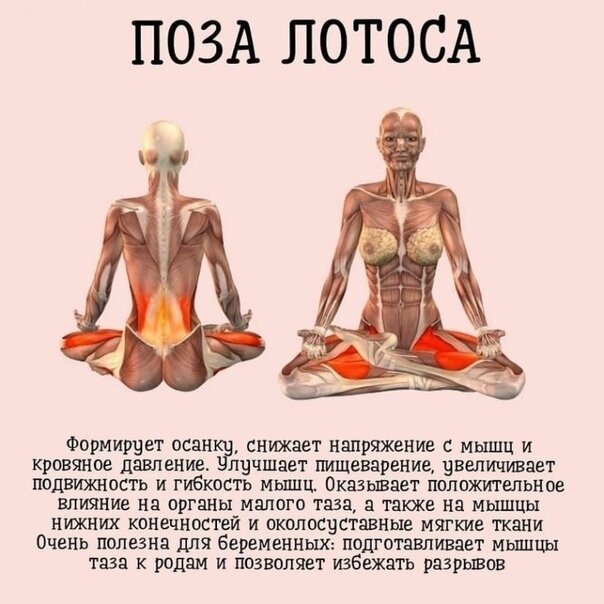 источник Яндекс картинки