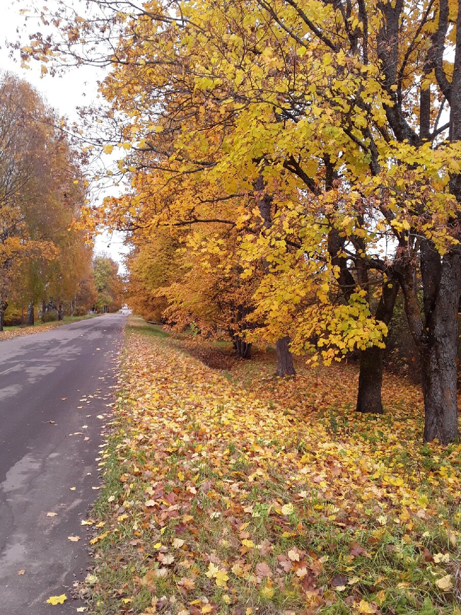 Золотая осень в деревне