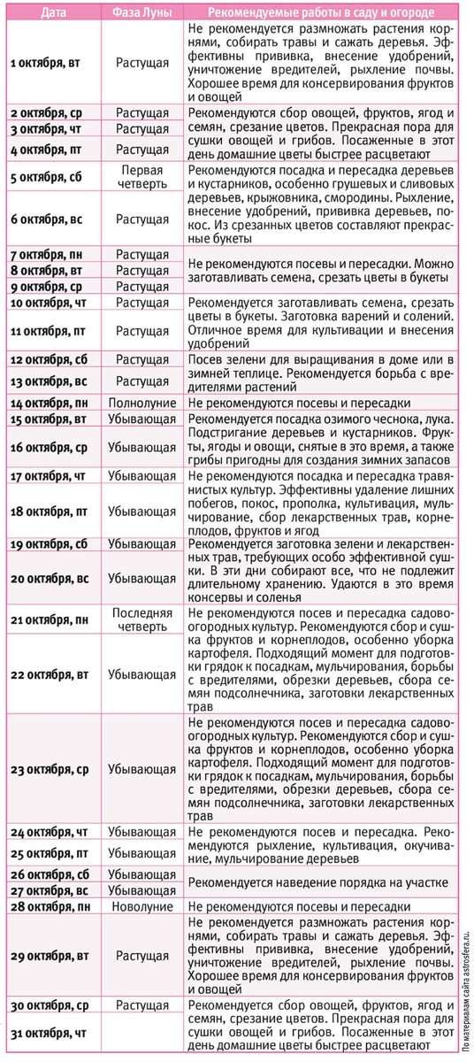 По материалам сайта atmosfera.ru 