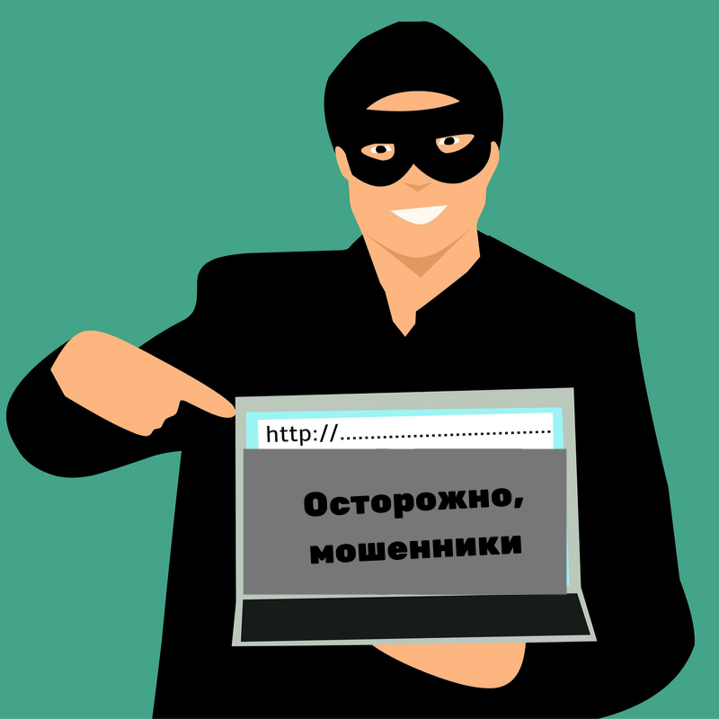 Изображение mohamed Hassan с сайта Pixabay
