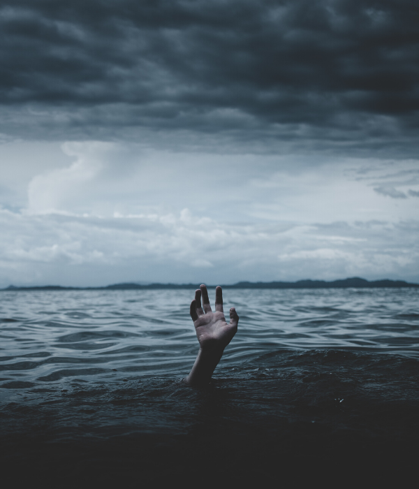 https://unsplash.com/photos/rX12B5uX7QM