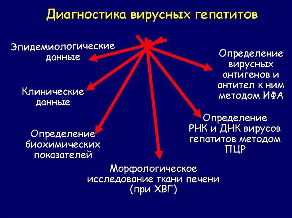 Лабораторная диагностика вирусных гепатитов презентация