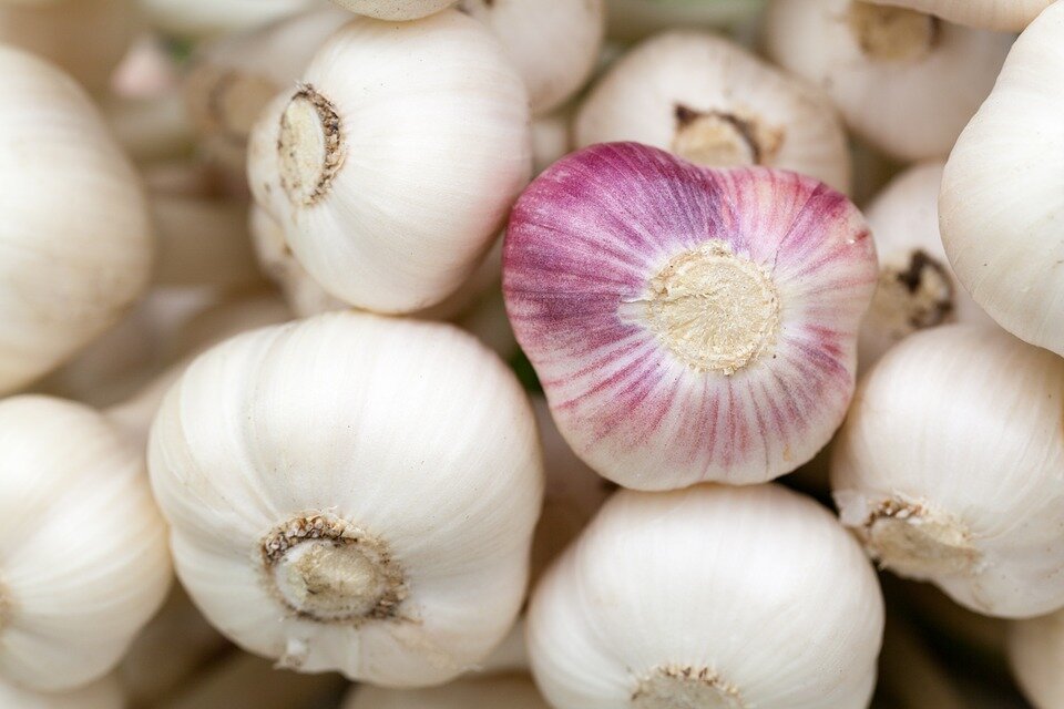 https://cdn.pixabay.com/photo/2013/02/21/19/12/garlic-84691_960_720.jpg