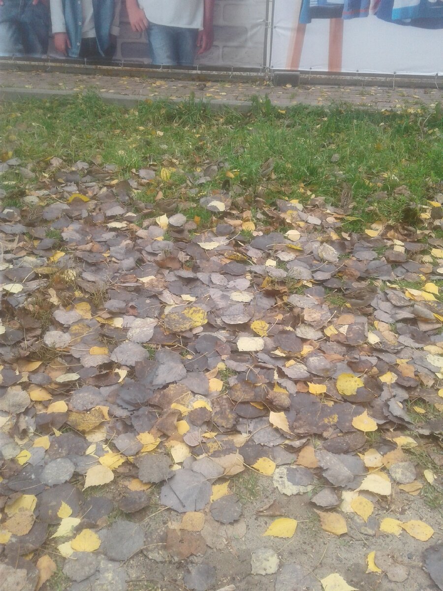 Самое время подвести итоги. На фото есть воробушки😉
