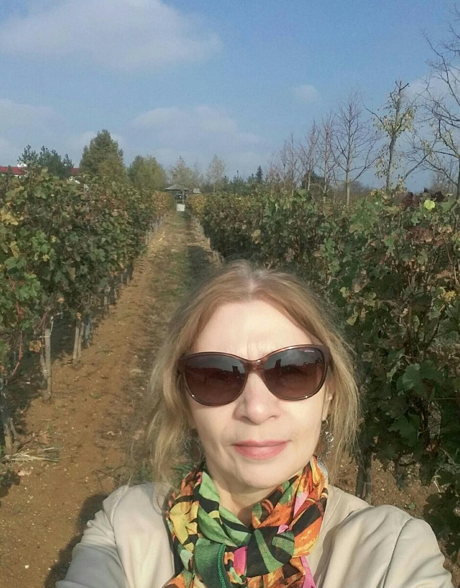 Октябрь и урожай винограда уже собран, остались лишь маленькие увядшие кисточки сильно вызревшего черного технического винограда . Авторское фото