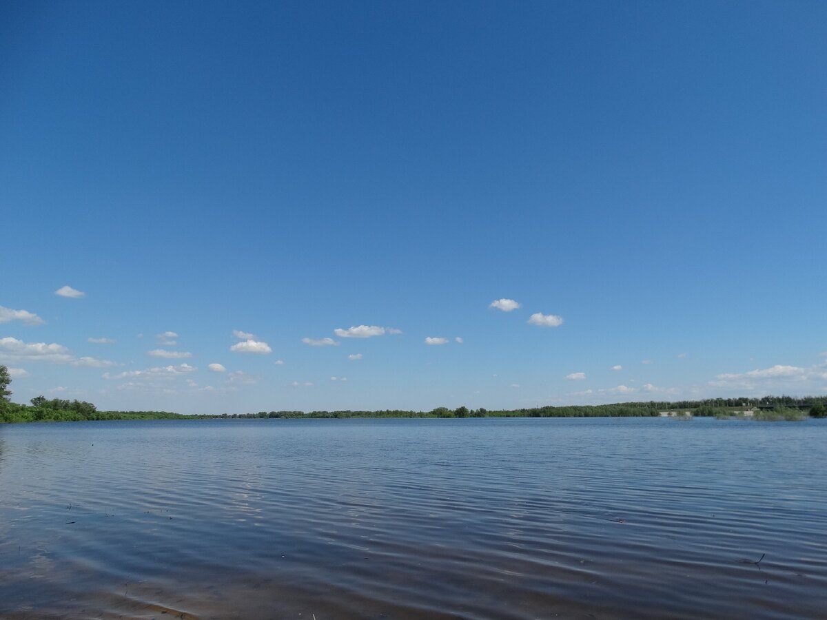 Затопленный луг