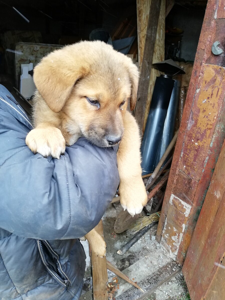 Мальчик

