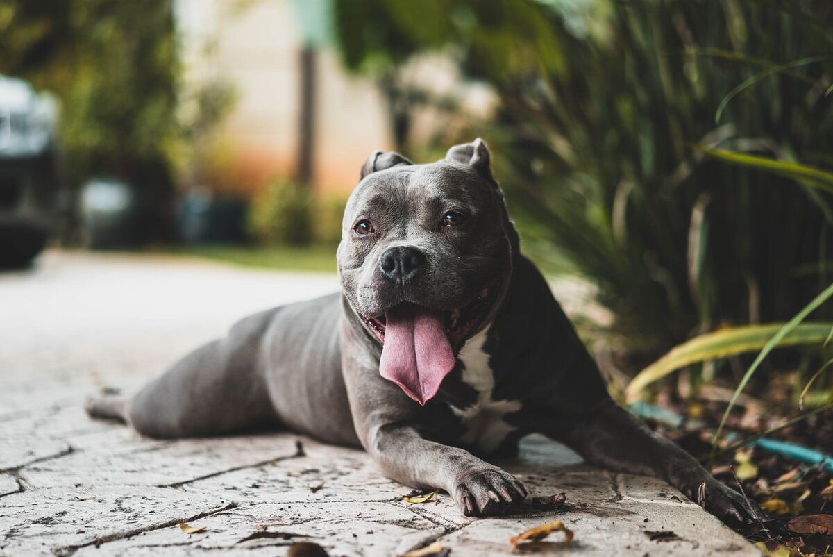 фото из открытого фотобанка unsplash.com