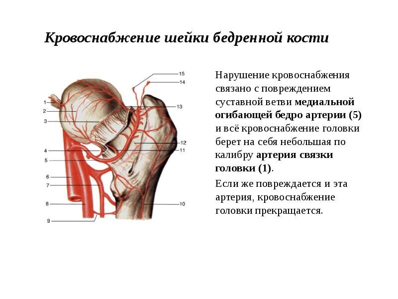 Отличное упражнение для развития подвижности тазобедренного сустава и кровообращения органов малого таза мужчин.