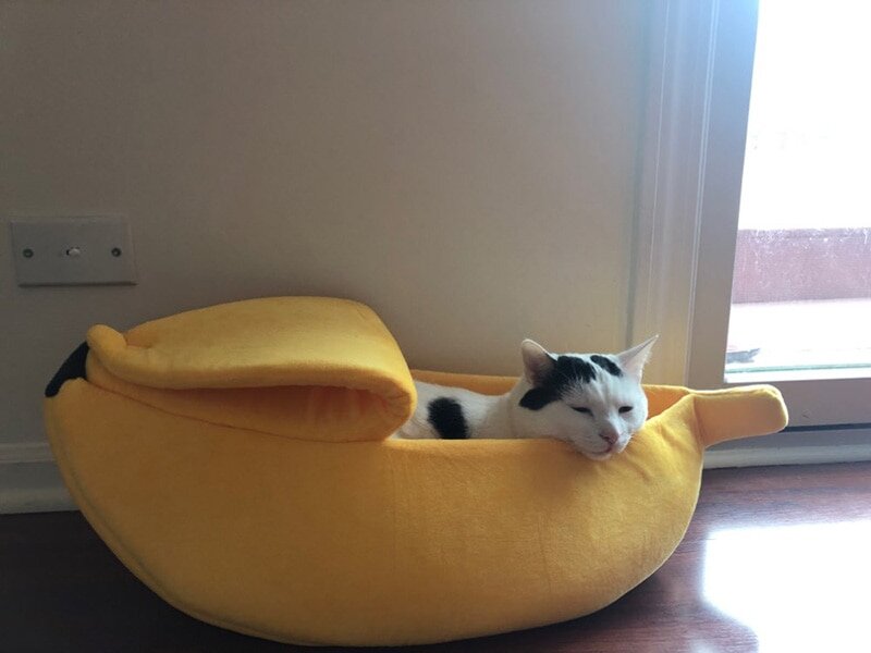 Цена от 485 до 1110 рублей