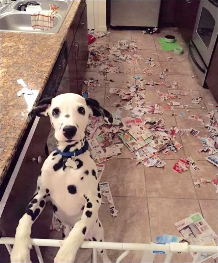 Источник изображения - сайт zagony.ru 