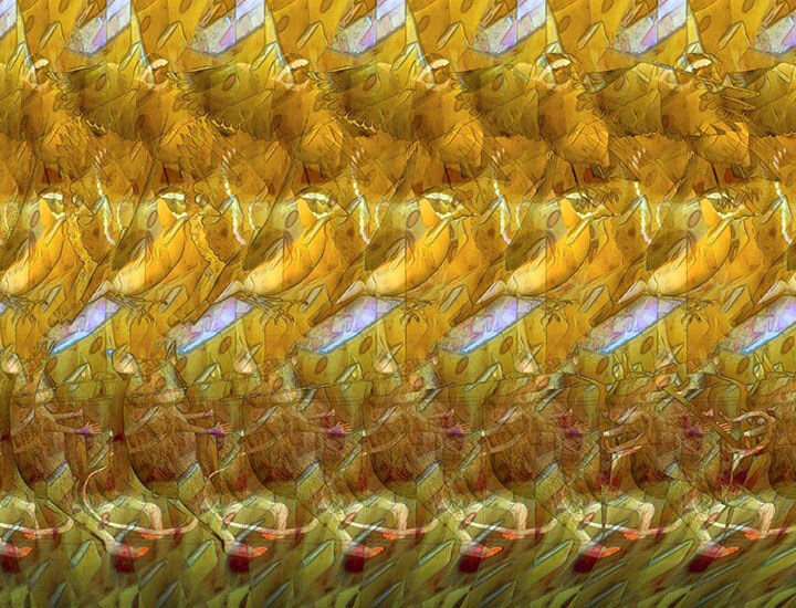 Это моя любимая.