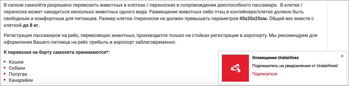 Почему толстого кота нельзя брать в салон самолёта? Или все-таки можно? Спросил у знакомого пилота