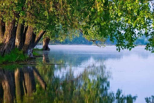 https://pixabay.com/photos/water-nature-green-river-landscape-3519938/
