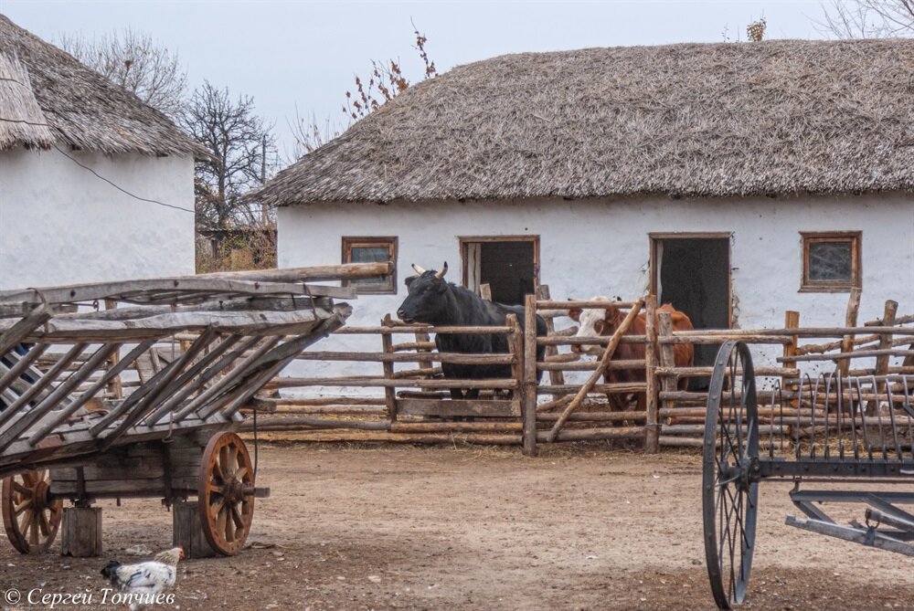 Казачий двор фото