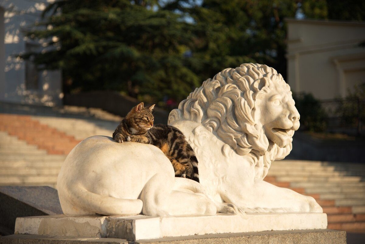 кот на скамейке скульптура