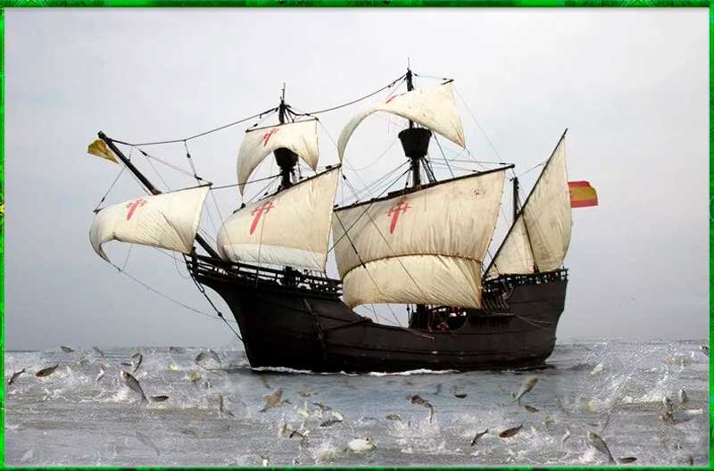 Рыбное место, но его еще нужно было найти