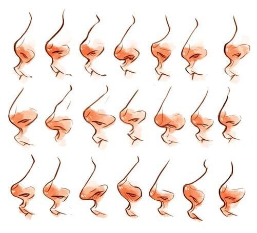 Такие разные носы. www.pinterest.ru