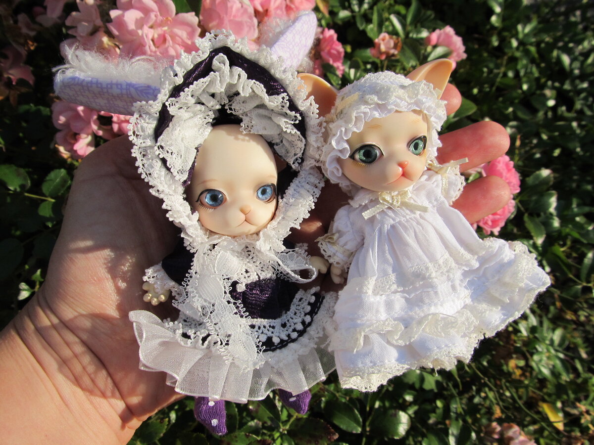 Слева Кукла Кэмпбел панг, справа Молочный панг. Фото Smilga2008