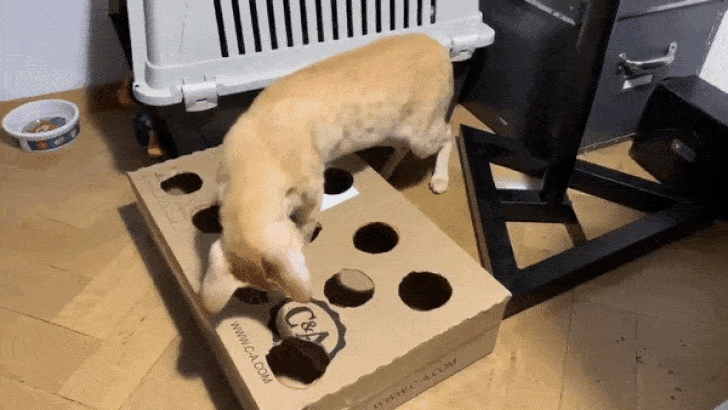© snobberries / twitter  