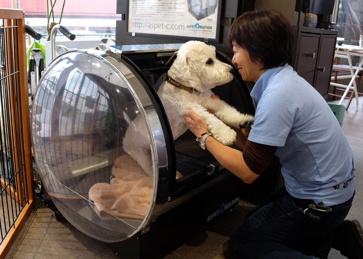 Источник фото: Яндекс.Картинки