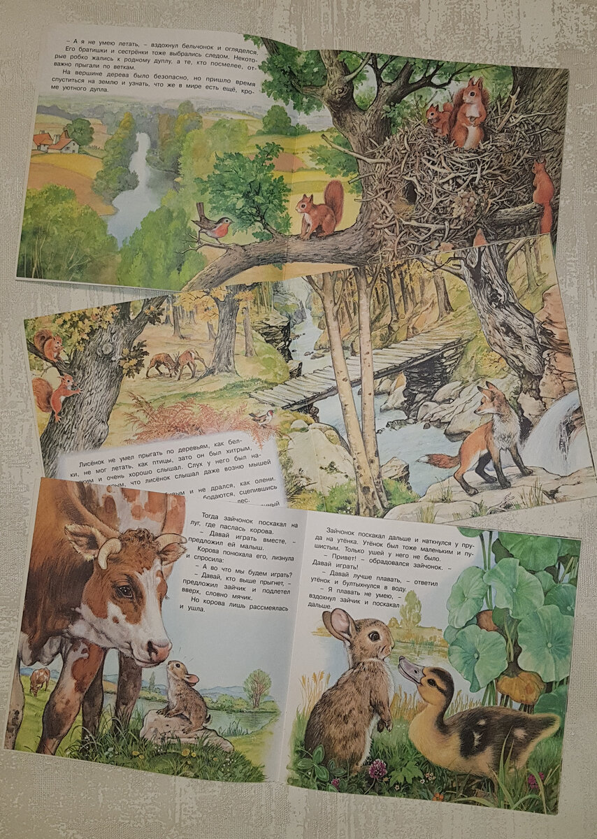 иллюстрации в серии книг "Познаем мир вокруг нас"