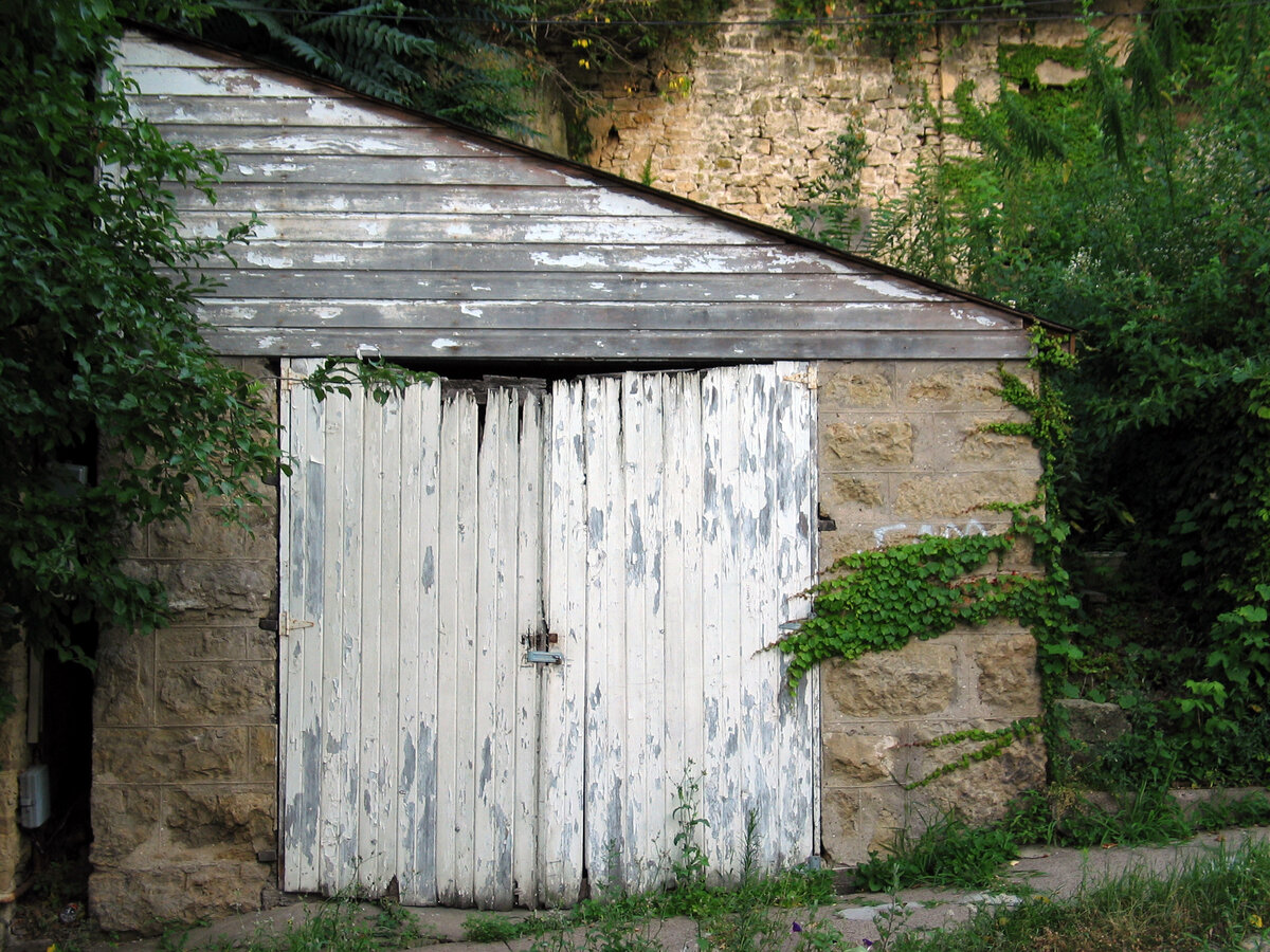 Источник фото: https://ru.freeimages.com/photo/entropy-in-action-1508578