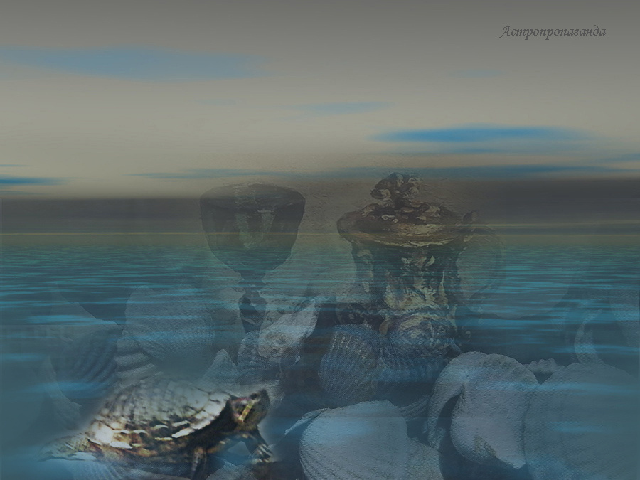 Коллаж Нины Стрелковой.