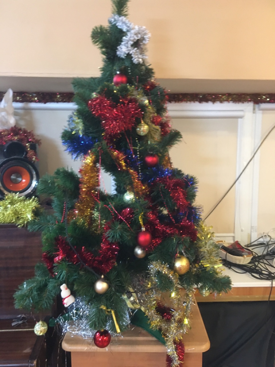Das ist unser Tannenbaum. Это наша елка 