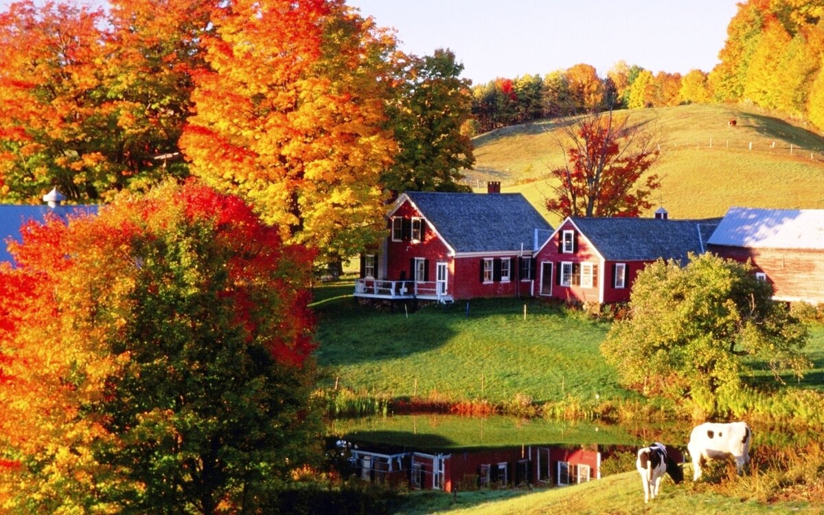 Деревня. Яндекс картинки.