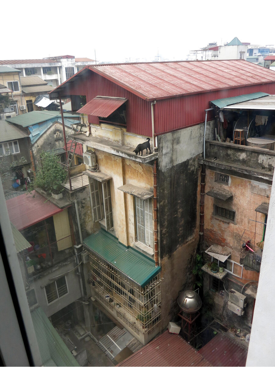 Нашли собачку?