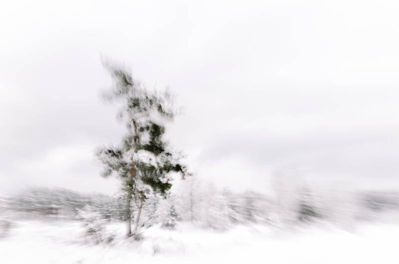 Замершая беременность