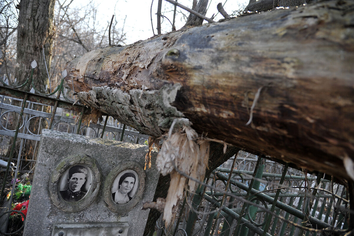 Мечта: все чисто, убрано». 90-летняя жительница Воронежа просит спасти  Казанское кладбище | РИА Воронеж | Дзен