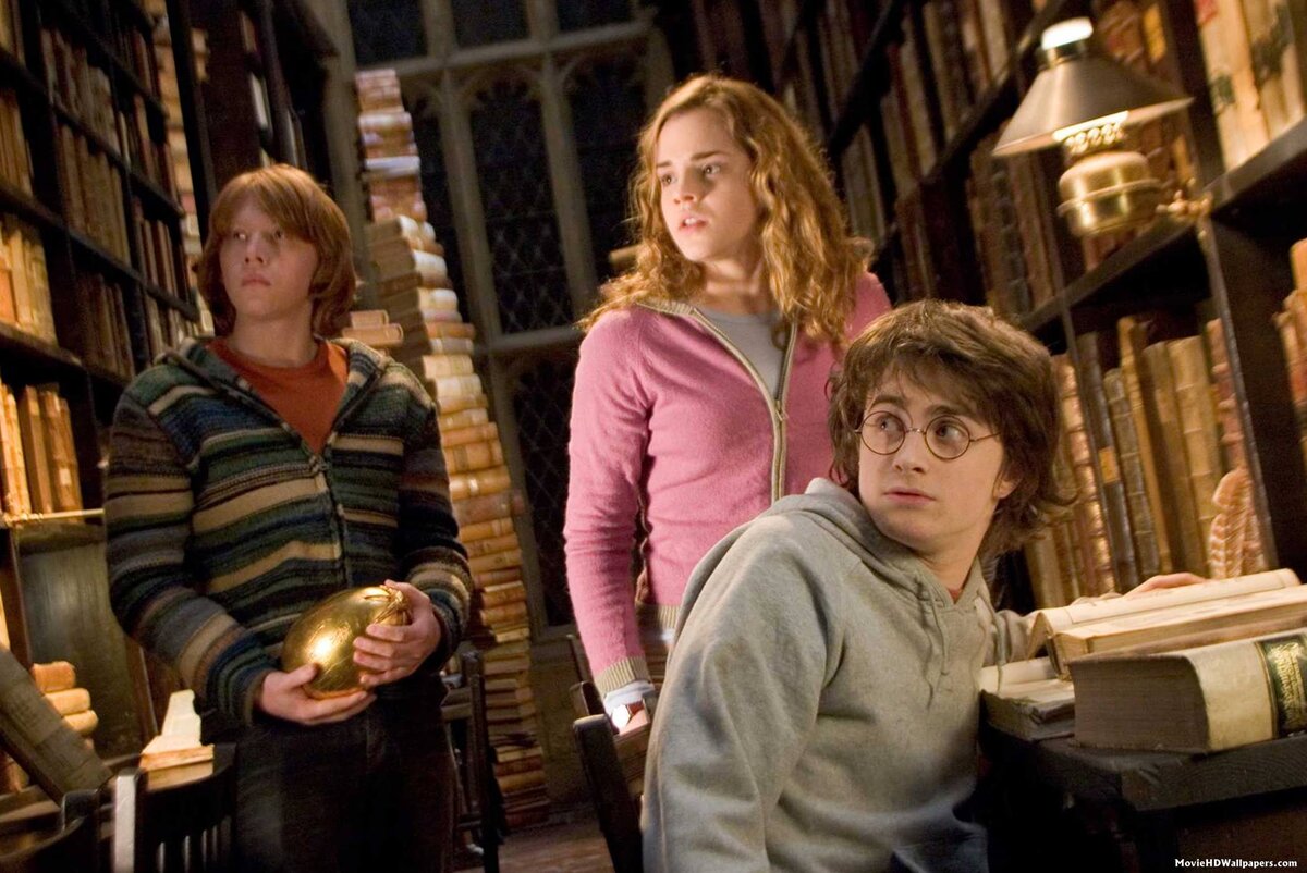 Кадр из фильма "Гарри Поттер и кубок огня" Источник: Яндекс картинки. 
