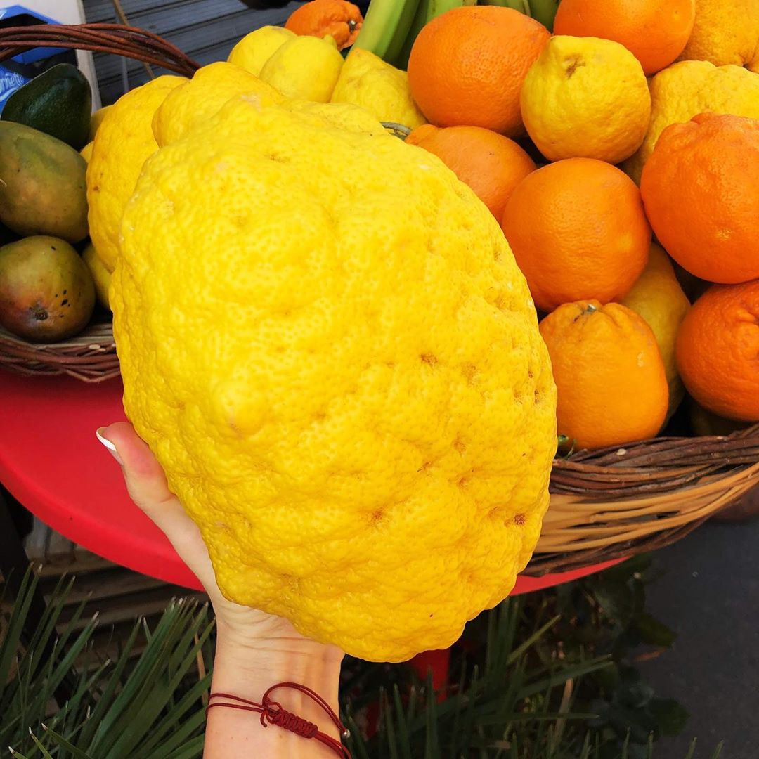 На фото цитрон.