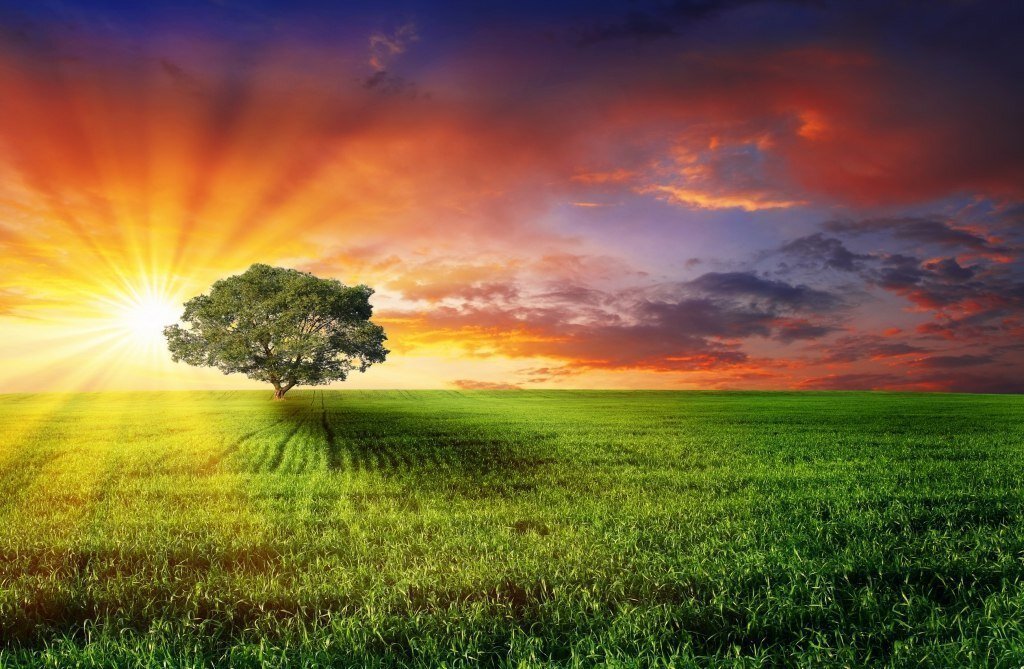 Люблю Солнышко, оно дает нам себя даром, каждому, в любом количестве и не зависимо от принадлежности к той или иной секте...