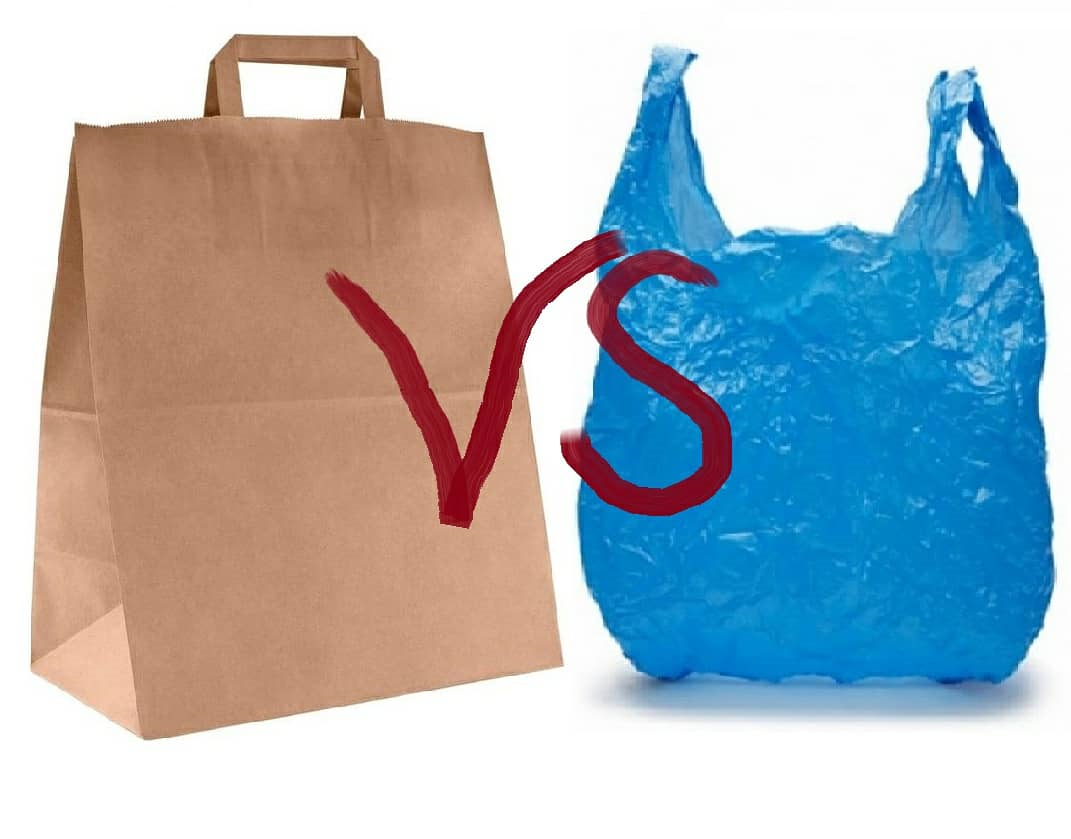 Paper bag vs plastic bag презентация