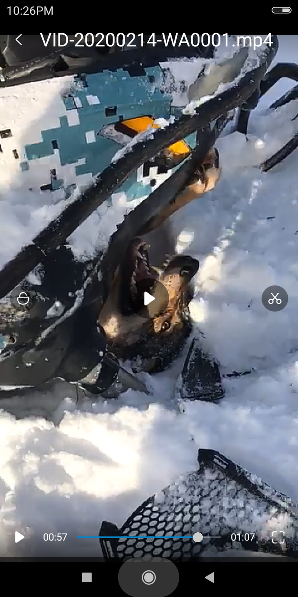 Задушили снегоходом.