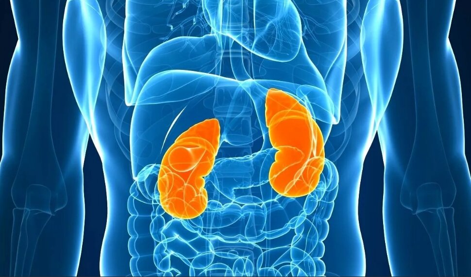 фото из открытого доступа