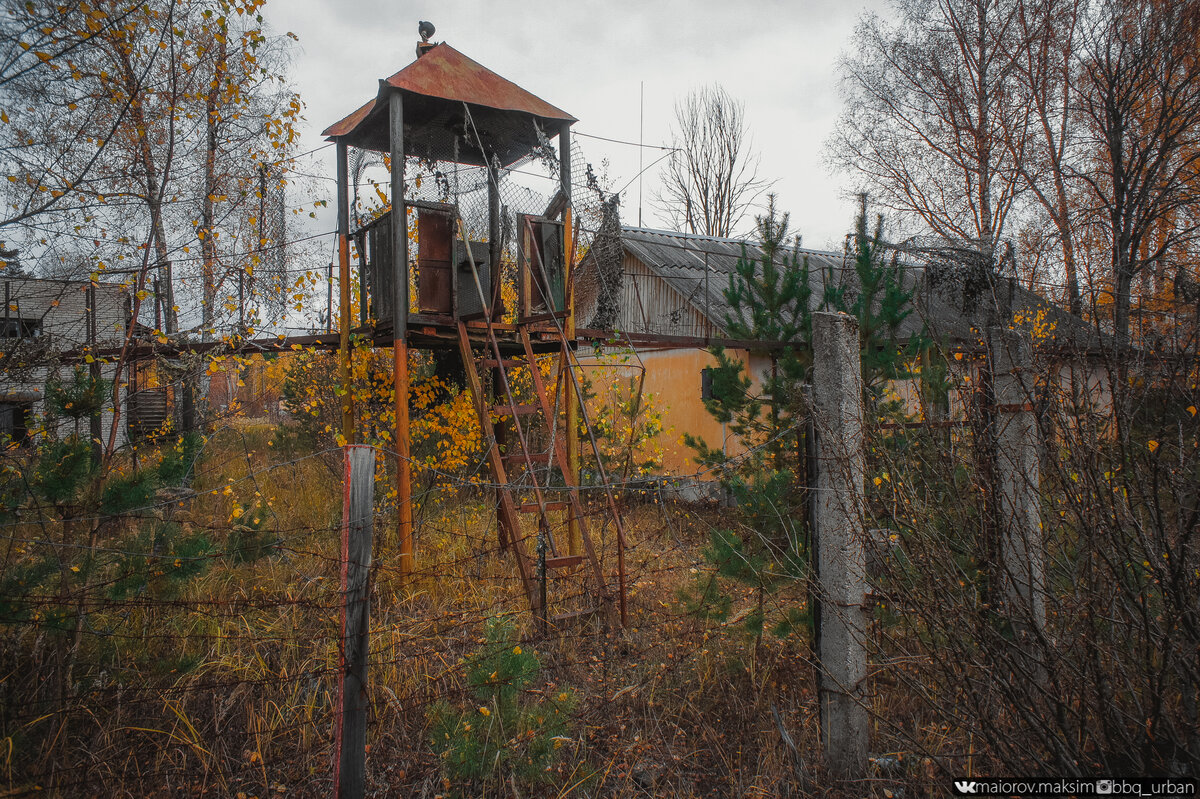 Вернулся спустя два года в военный городок. Полная разруха, украли даже «Ракеты С-25 Беркут»!