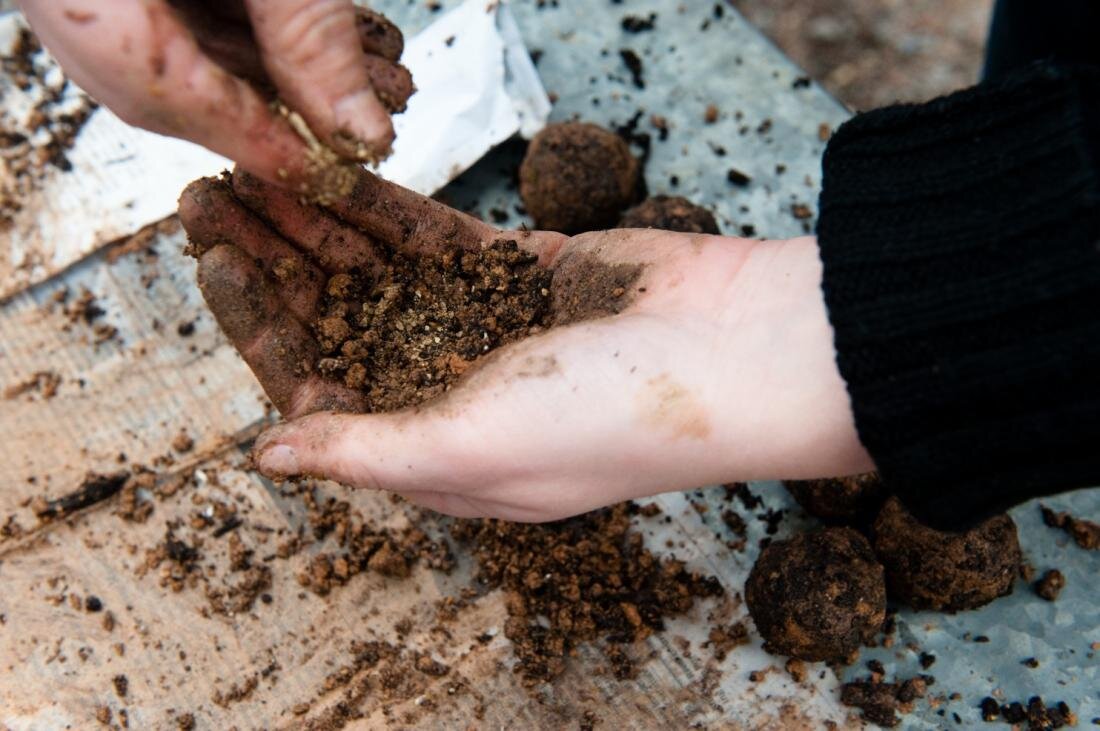 Плодородный бурый грунт. Чернозем почвы плодородие. Славянские боги мать сыра земля. Почему земля сырая. Сырая почва.