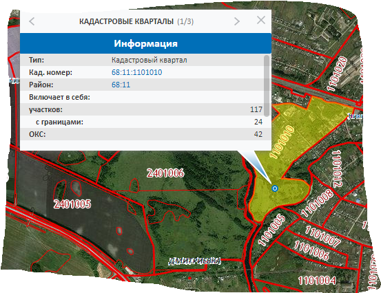 Земельные участки кадастр. Кадастровая карта. Кадастровая карта земельного участка. Как расшифровать кадастровый номер земельного участка. 1022.