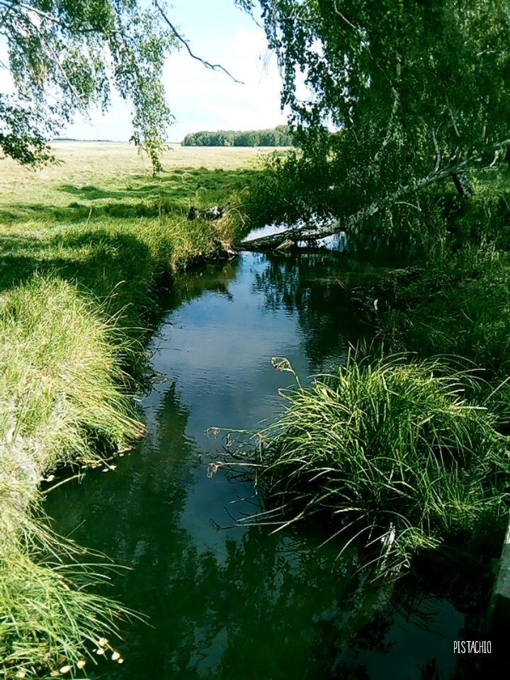 Автор: Виктор Зыков