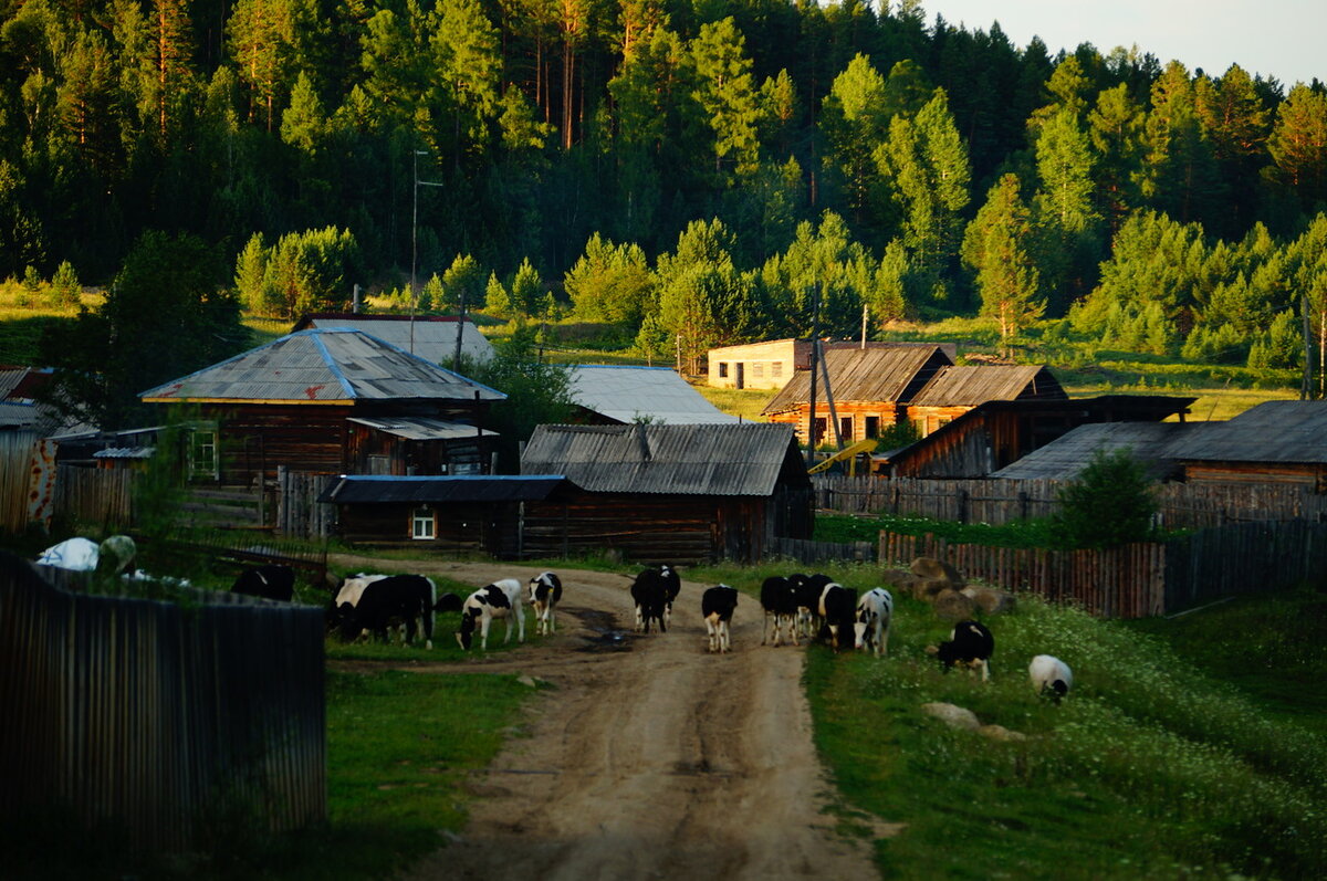 Самая большая деревня. Деревня Буренка Пермский край. Русские деревни. Сельская местность России. Деревня село.