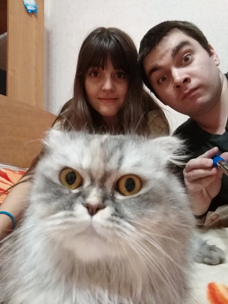 дурачимся перед переездом в Краснодар - тут все мы жена, я и кошак