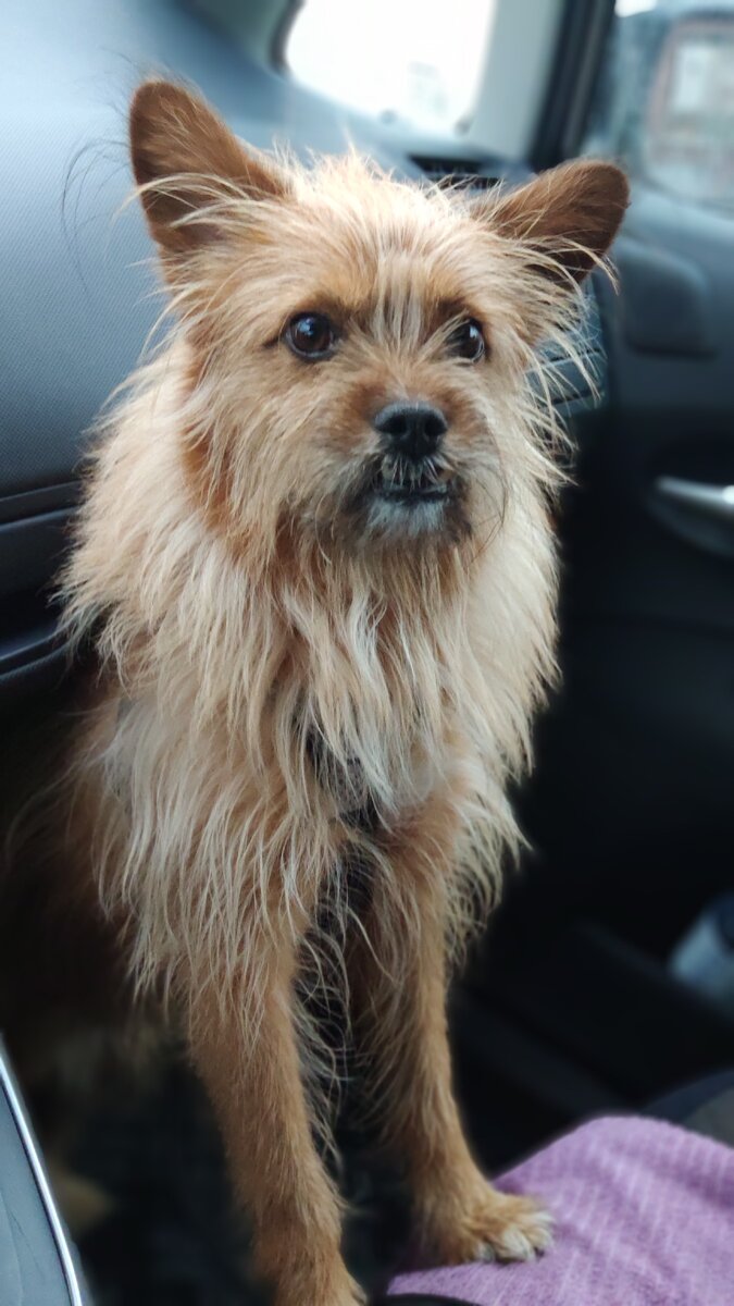 С добрым субботним утром, друзья!