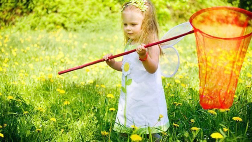 И где эта бабочка?